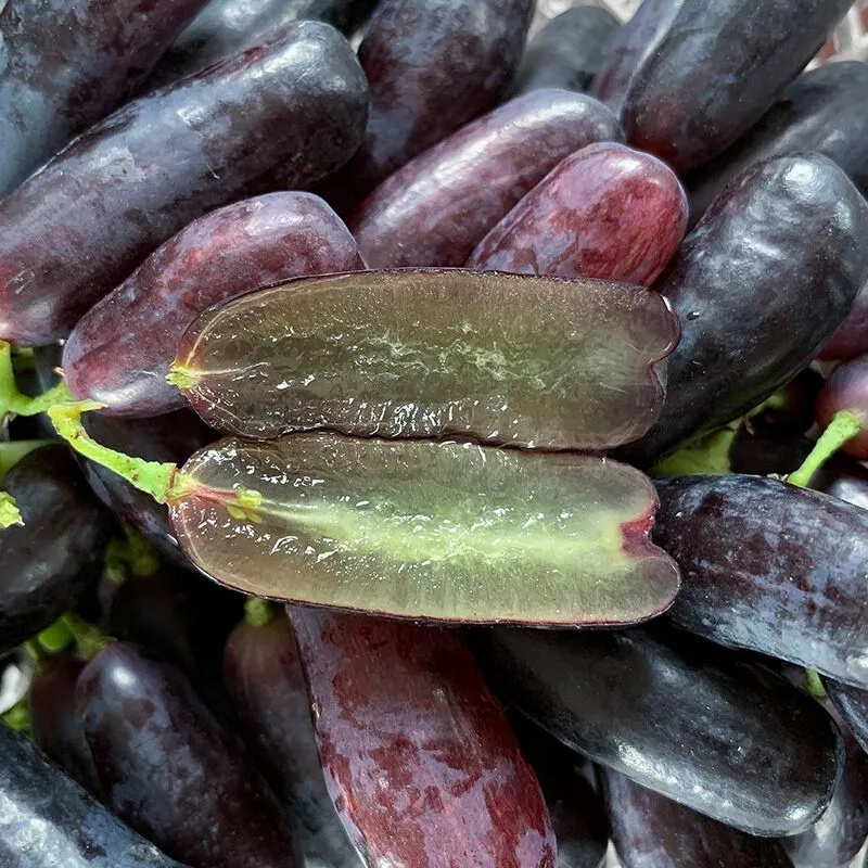 Seasonal Grape Plant Seeds For Gardening