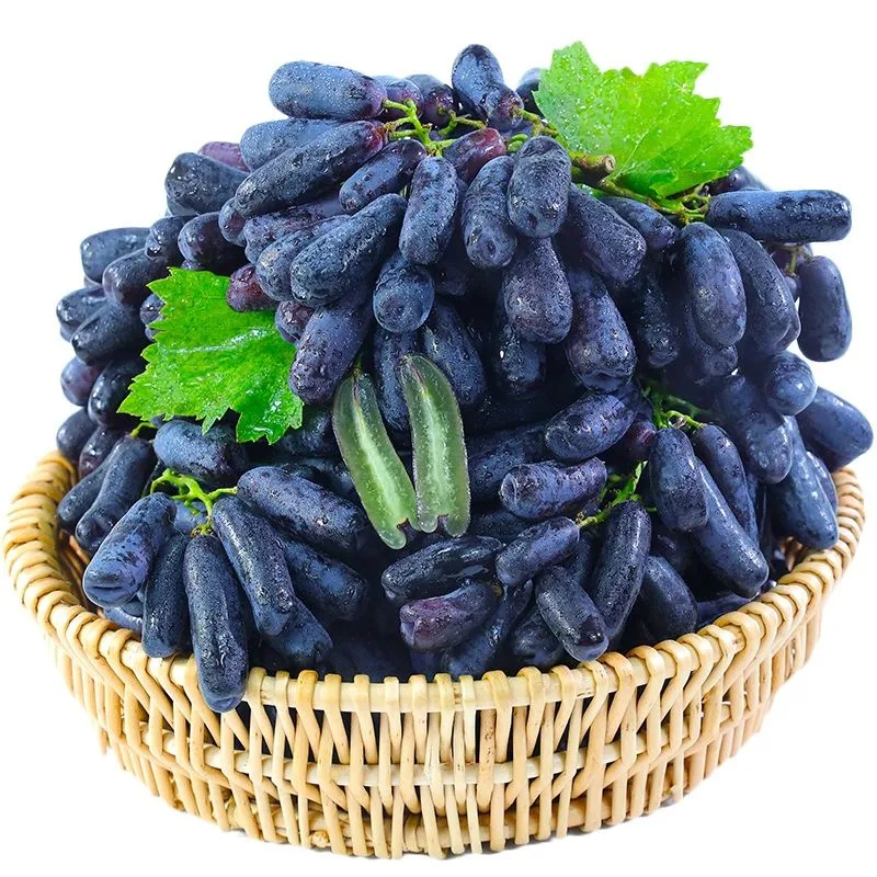 Seasonal Grape Plant Seeds For Gardening