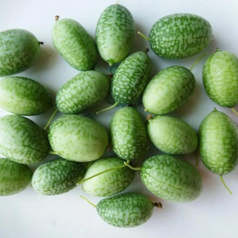 Cucamelon Seeds For Home Garden