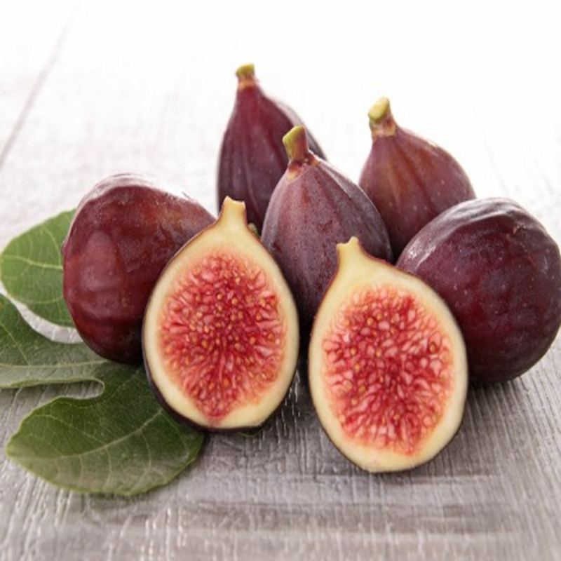 Fig Fruit Plant Seeds for Home Garden