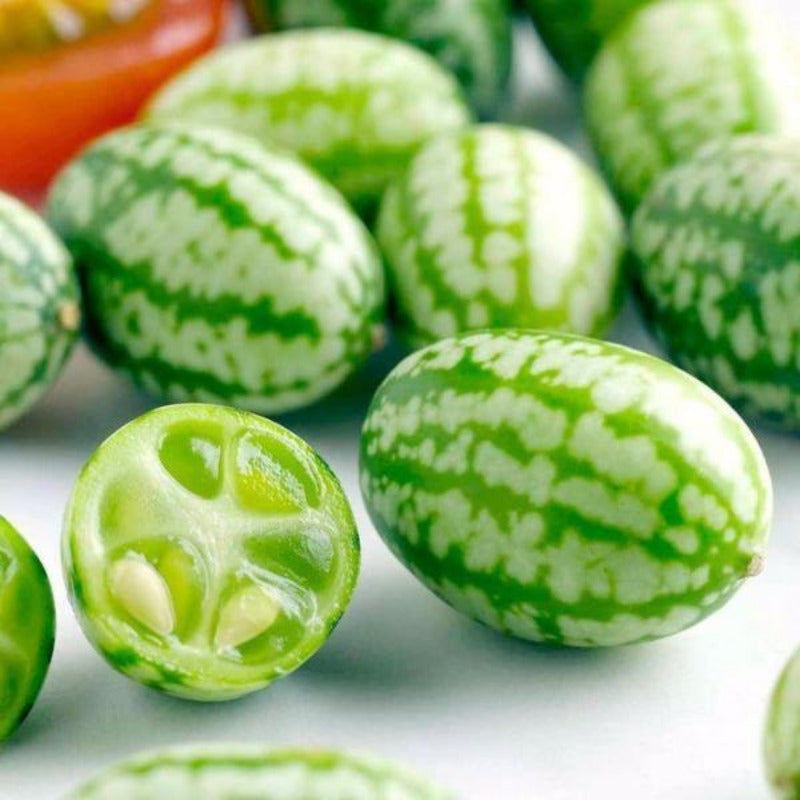 Mexican Sour Melon Seeds