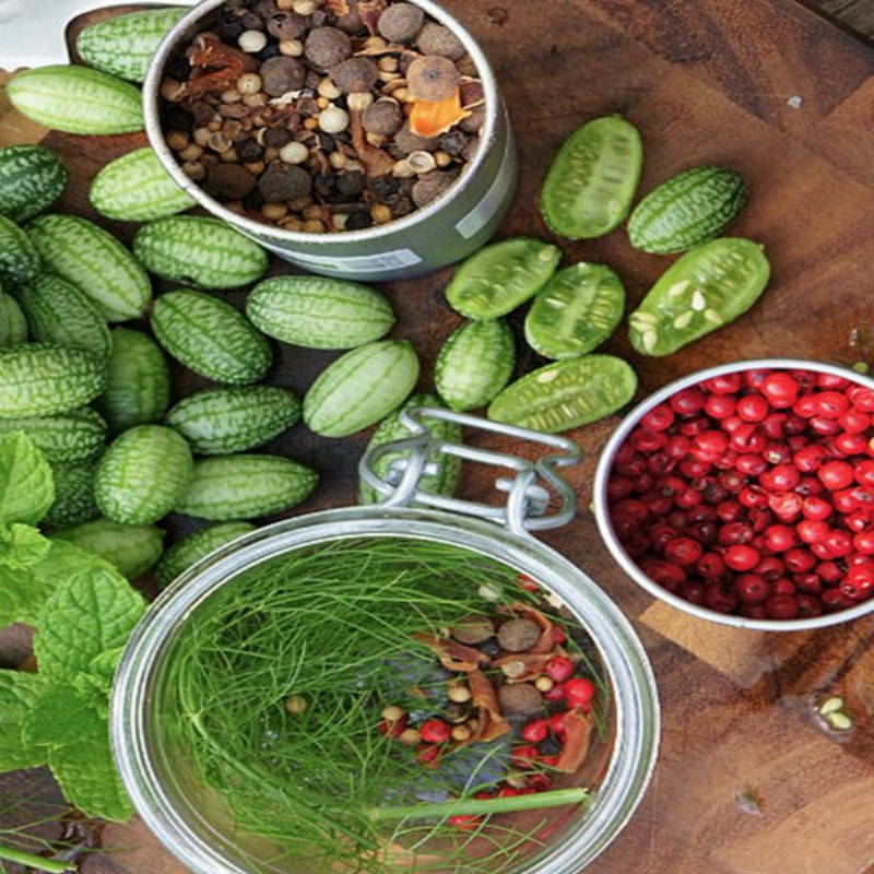 Mexican Sour Melon Seeds