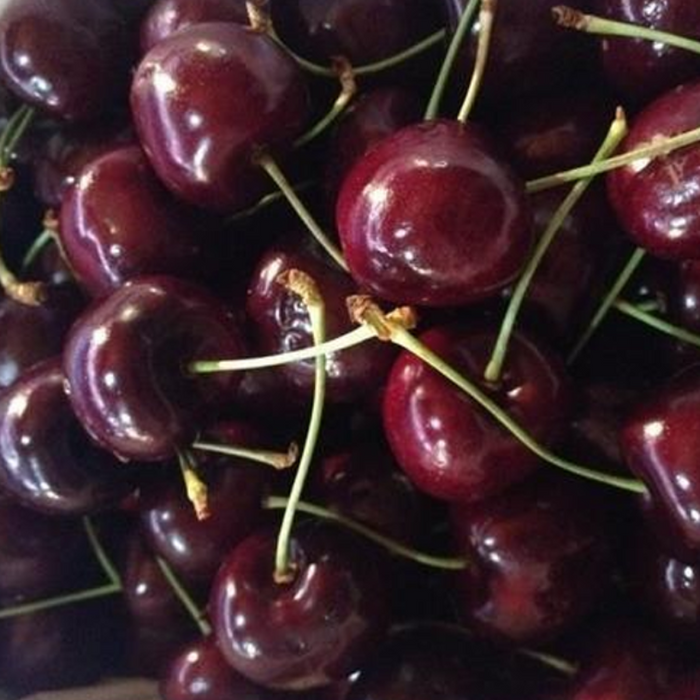 Plenteous Dwarf Cherry Tree Fruit Seeds