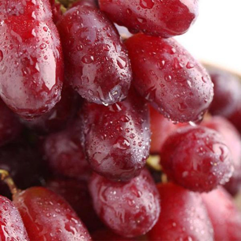 Red Grape Seeds