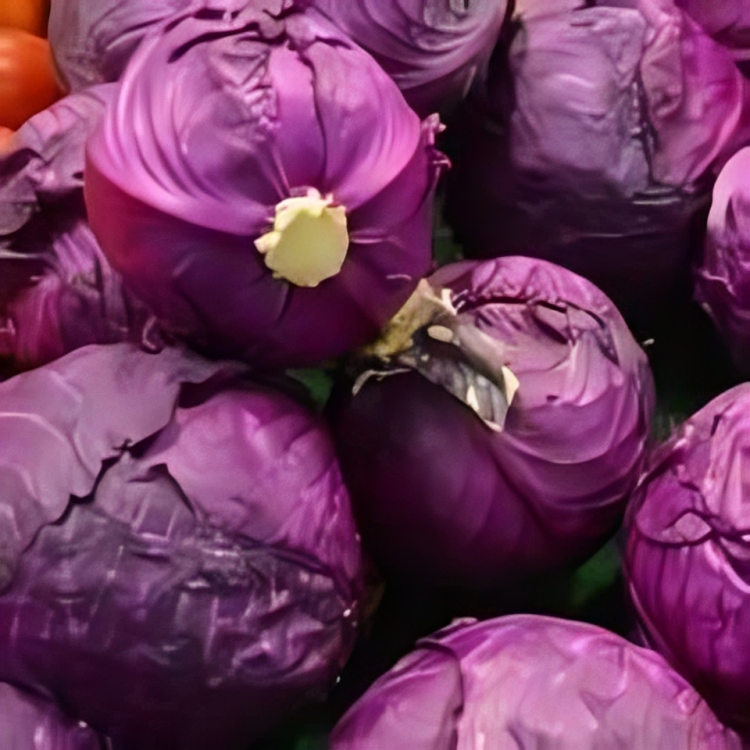 Purple Cabbage Seeds