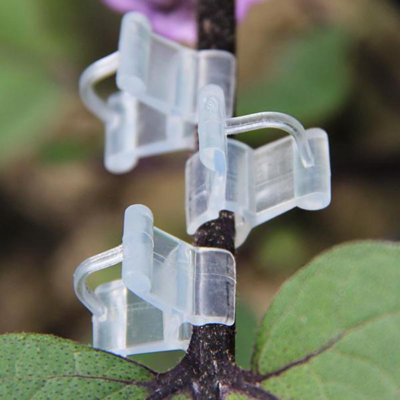 Transparent Grafted Plants Clips