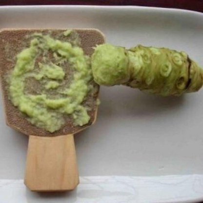 Wasabi Japanese Horseradish Seeds