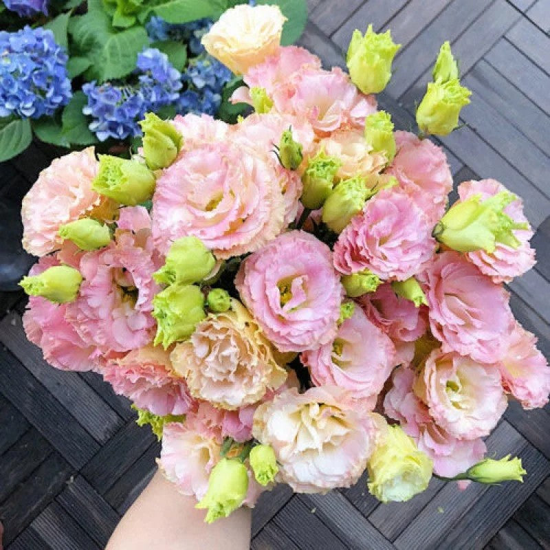Lisianthus Flowers Seeds