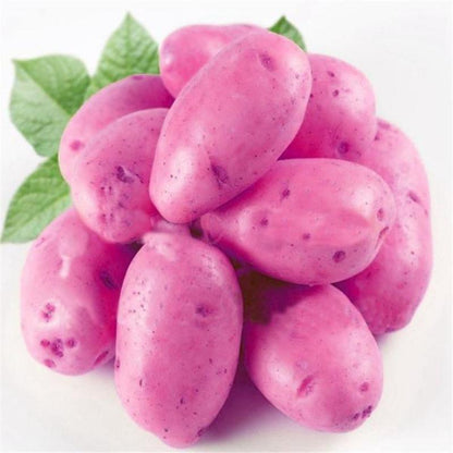 Potato Seeds Purple