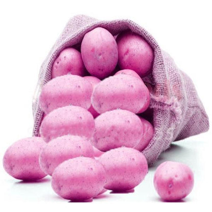 Purple Potato Vegetable Seeds 120 Pack