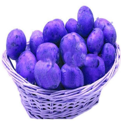 Potato Seeds Purple