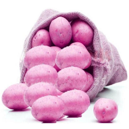 Potato Seeds Purple