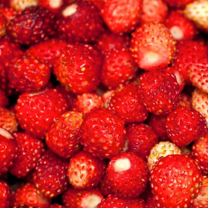 Wild Strawberry Heirloom Seeds