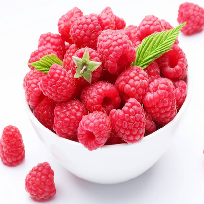 Everbearing Raspberry Organic Seeds