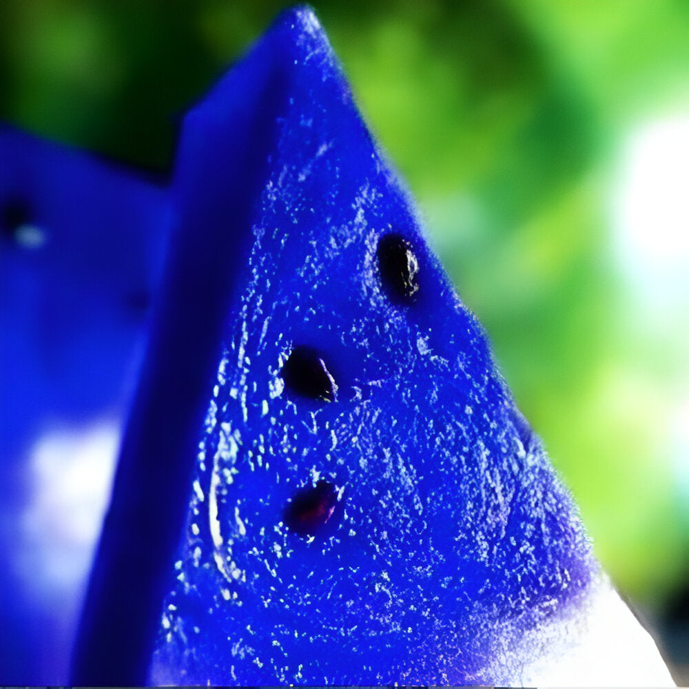 Colorful Watermelon Fruit Seeds