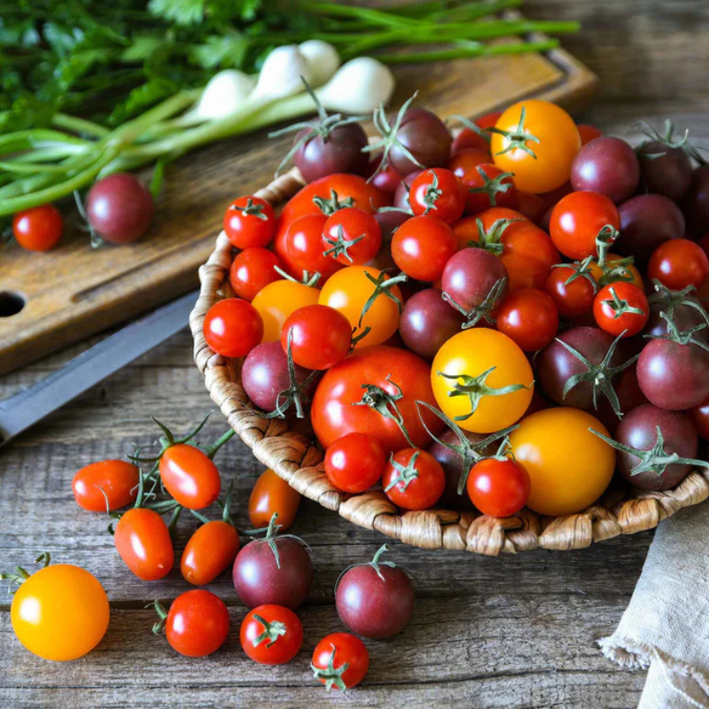 Colorful Cherry Tomatoes Vegetable Seeds