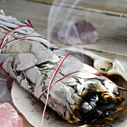 White Sage Seeds Heirloom Ceremonial Sage