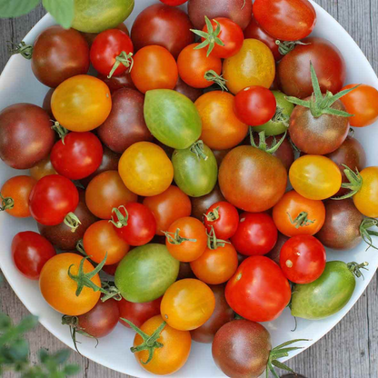 Colorful Cherry Tomatoes Vegetable Seeds