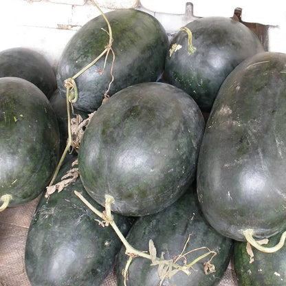 Black Tyrant Watermelon Seeds