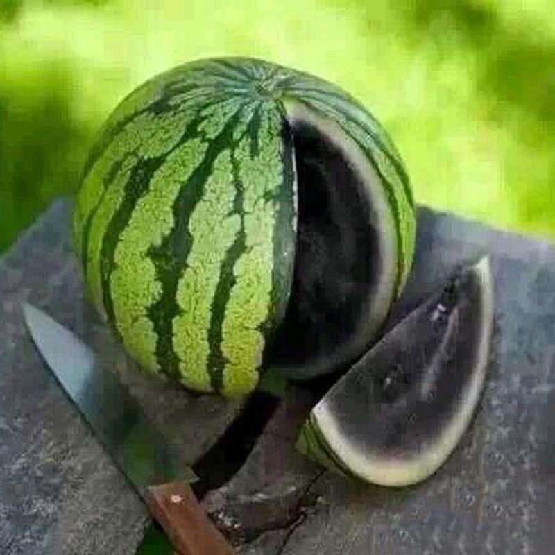 Colorful Watermelon Seeds
