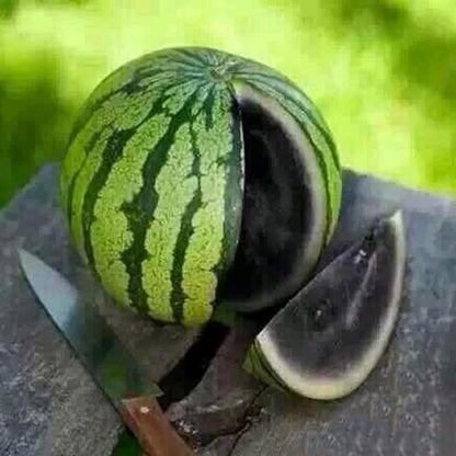 Colorful Watermelon Seeds