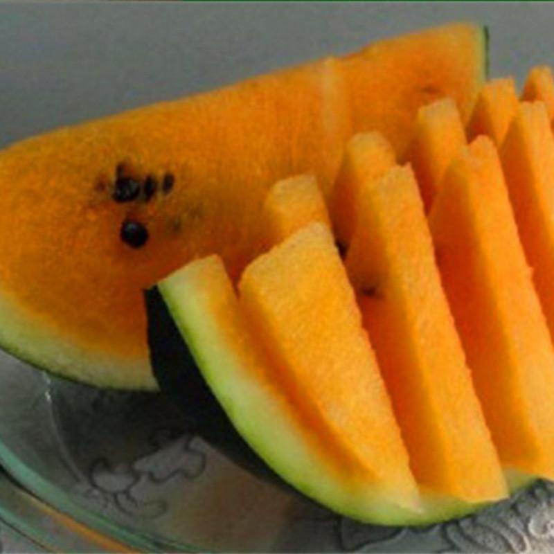 Colorful Watermelon Seeds