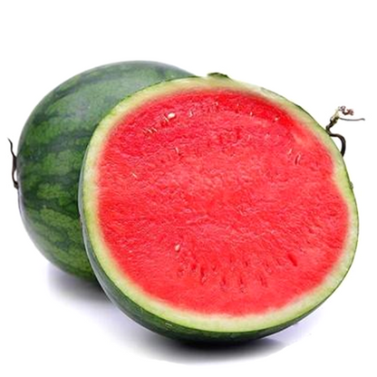 Seedless Watermelon Seeds