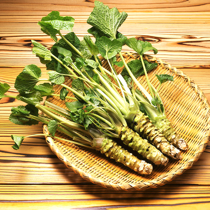 Japanese Horseradish Wasabi Seeds 200 Pack