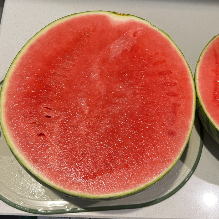 High Yield Watermelon Seeds Juicy Variety For Pots And Planters