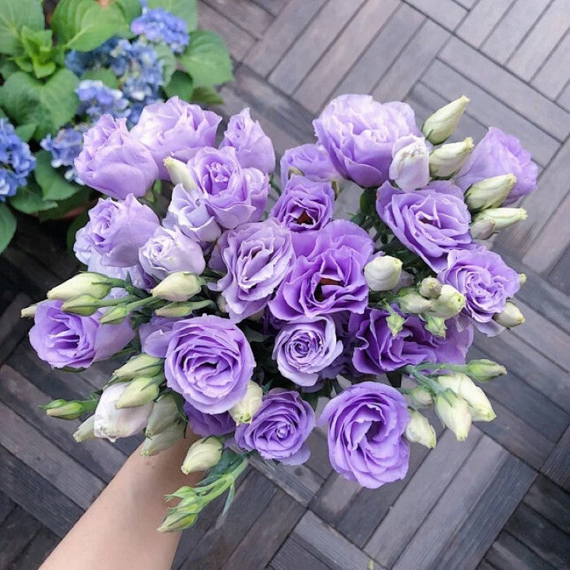 Lisianthus Flowers Seeds