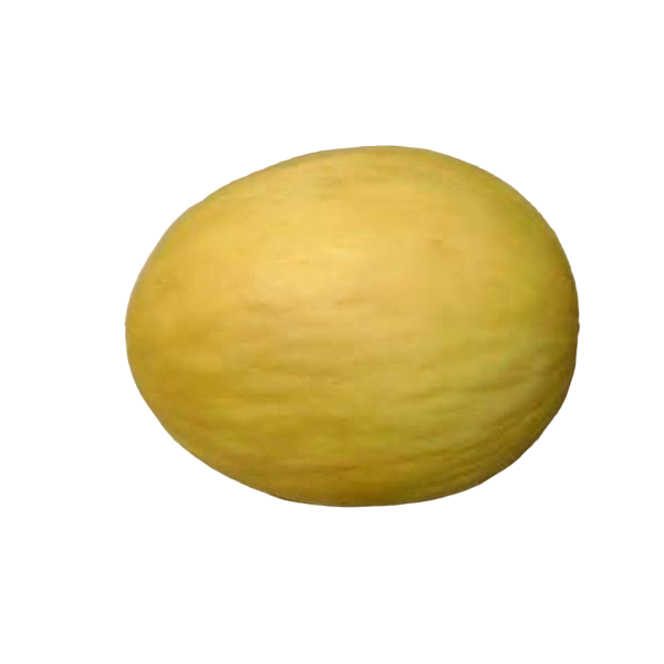 Big Sweet Honey Melon Seeds