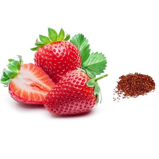 Organic Strawberry Seeds