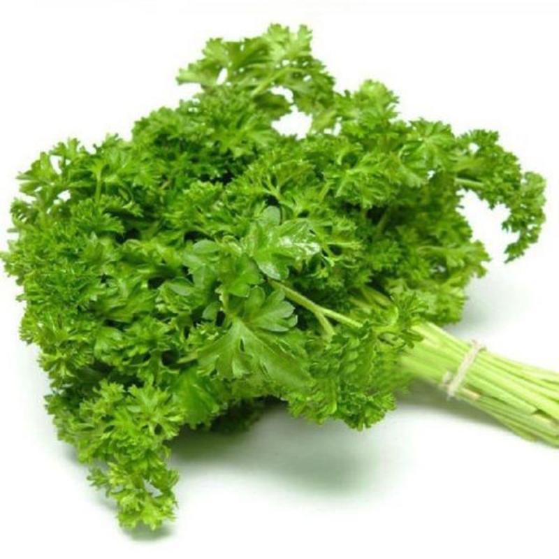 Parsley Vegetable Seeds