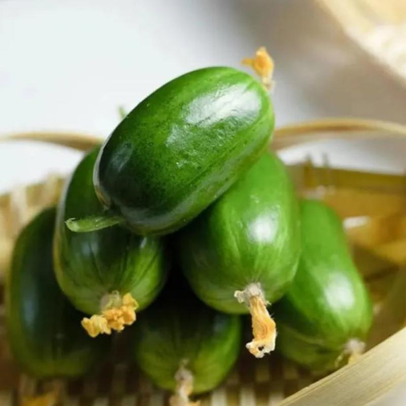 Cucumber Seeds For Home And Garden