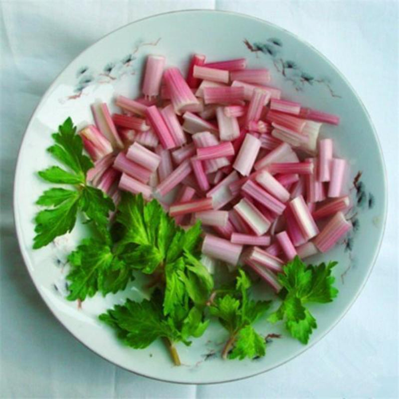 Red Celery Seeds Organic Plants