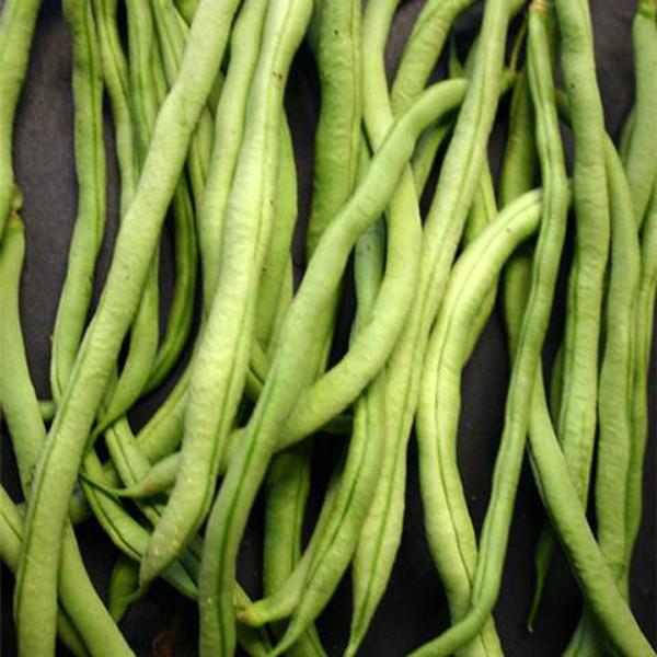 Fortex Pole Bean Seeds