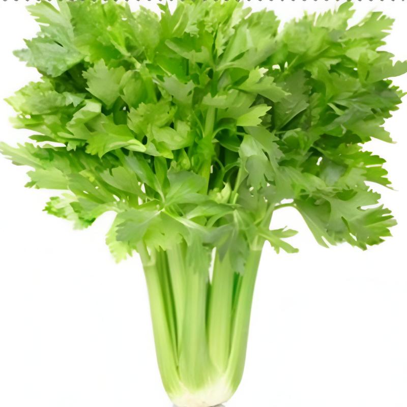 Green Celery Seeds