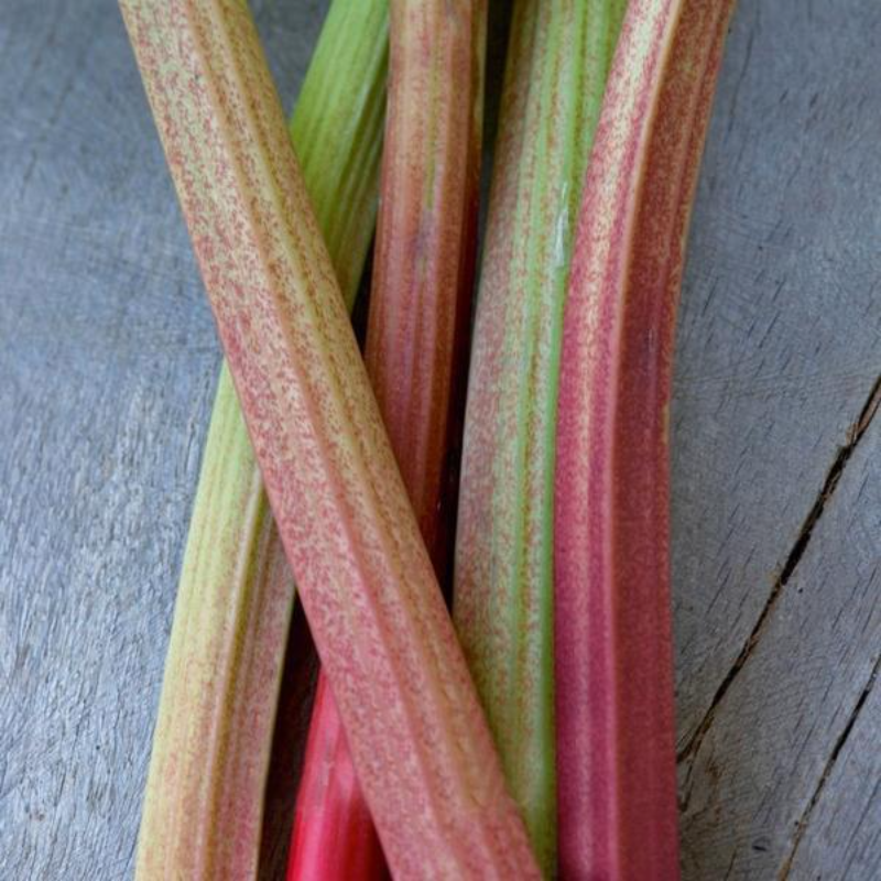 Rhubarb Raspberry Red Seeds