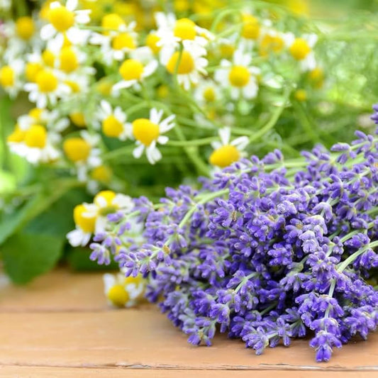 Kitchen Garden Complete Herb Kit