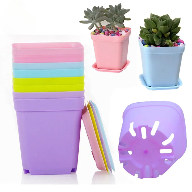 Multi Color Plastic Square Flower Pots