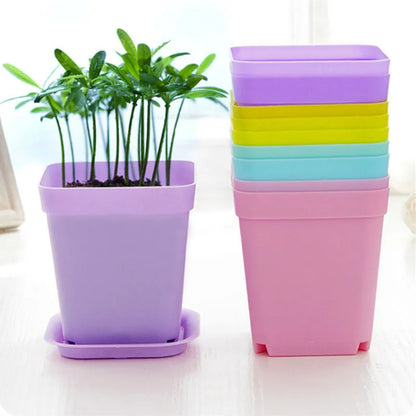 Multi Color Plastic Square Flower Pots