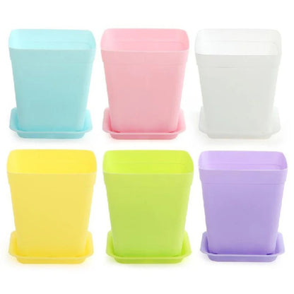 Multi Color Plastic Square Flower Pots