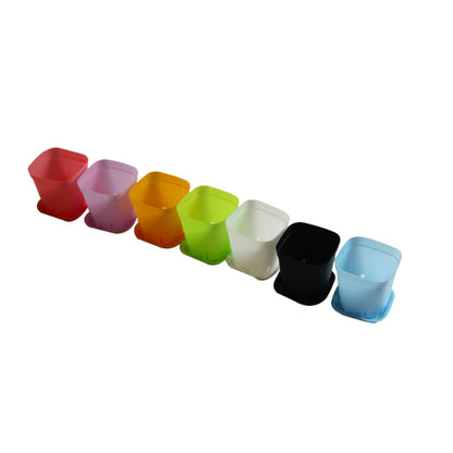 Multi Color Plastic Square Flower Pots