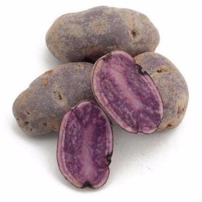 Purple Potato Seeds