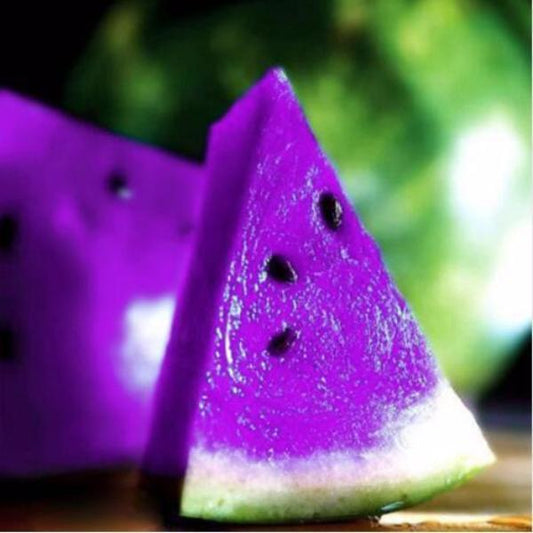 Purple Watermelon Seeds 50 Pack