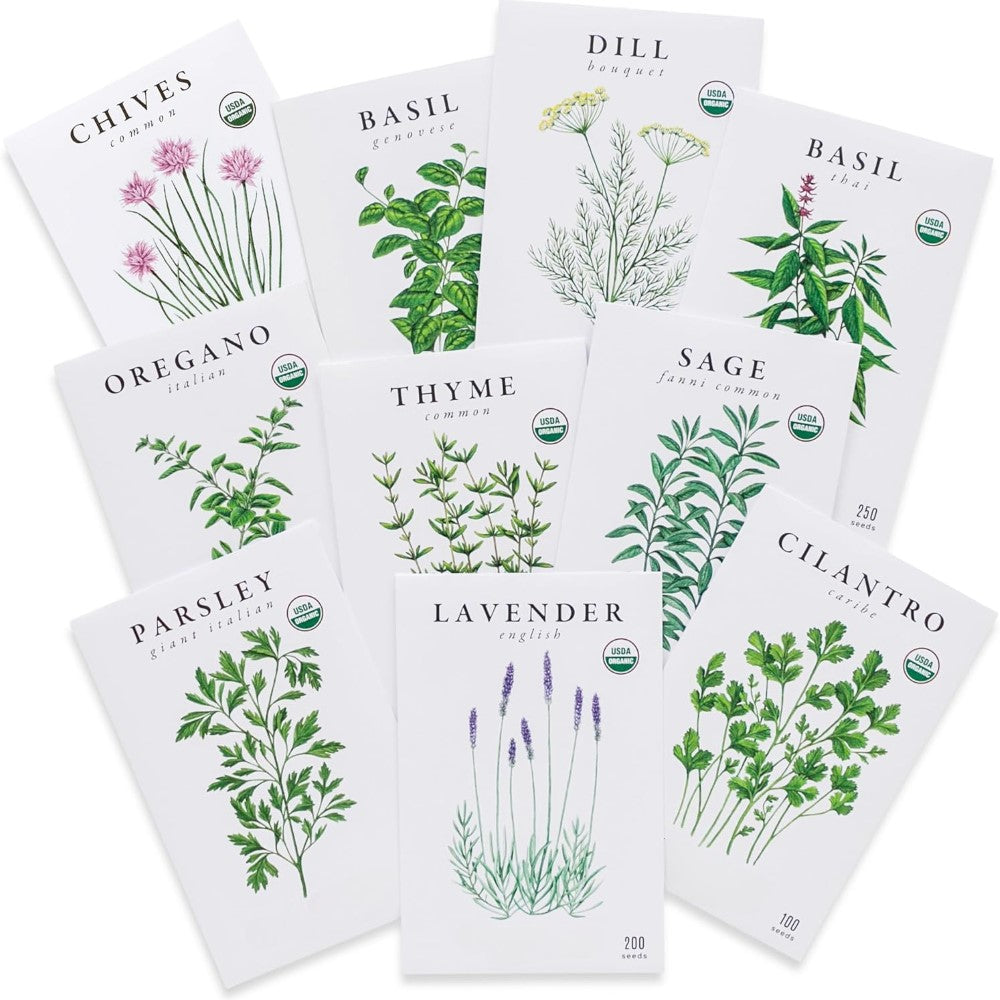 Seeds For Indoor And Outdoor Planting