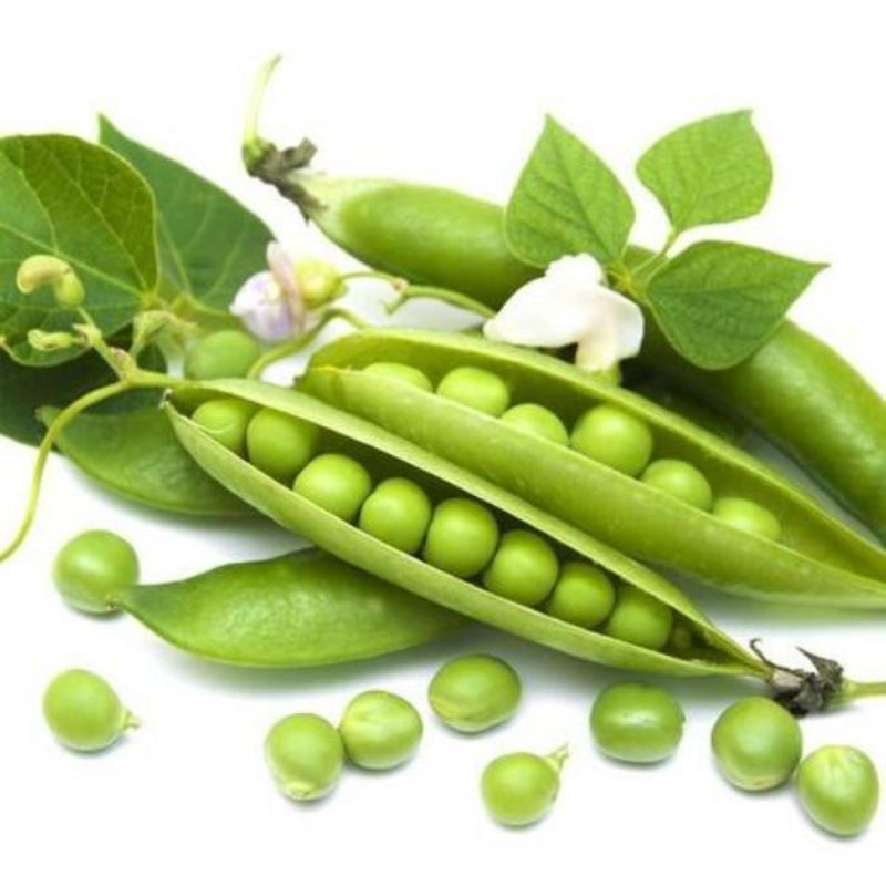 Snow Peas Seeds