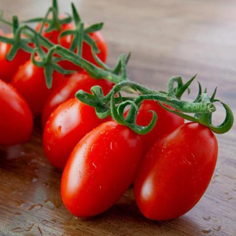 Tomato Seeds