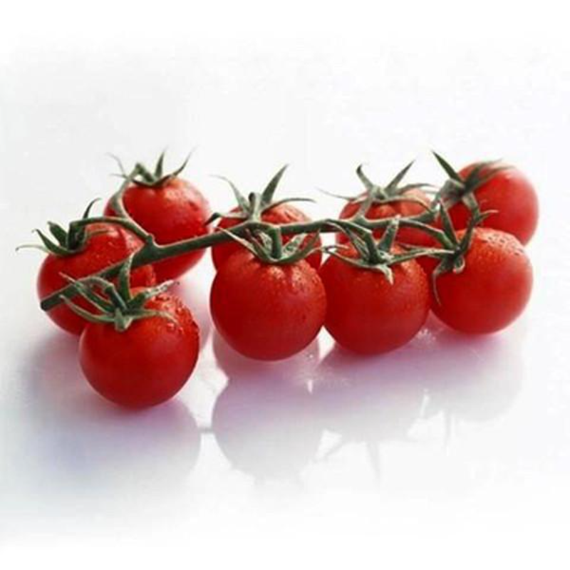 Tomato Seeds