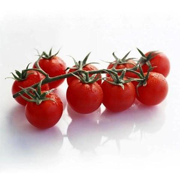 Tomato Garden Seeds